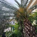 De Luxe (De Luxe), Гостевой дом Лавра