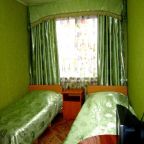 Двухместный (Двухместный номер эконом-класса с 2 отдельными кроватями), Гостевой дом Виолетта на Ленина