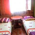 Двухместный (Двухместный номер эконом-класса с 2 отдельными кроватями), Гостевой дом Виолетта на Ленина