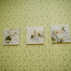 Двухместный (Двухместный номер с 1 кроватью и собственной ванной комнатой), Гостевой дом Ева