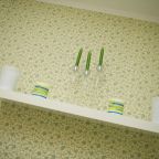 Двухместный (Двухместный номер с 1 кроватью и собственной ванной комнатой), Гостевой дом Ева