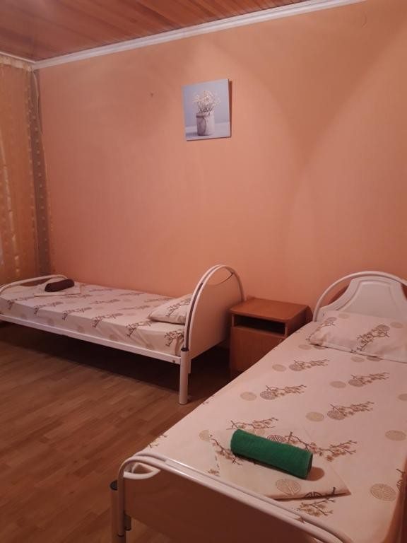 Двухместный (Стандартный двухместный номер с 1 кроватью или 2 отдельными кроватями) мини-гостиницы Алисия, Лазаревское