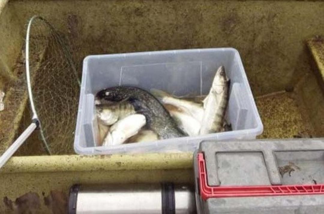 Рыбалка, Рыболовно-охотничий клуб Северный Каспий