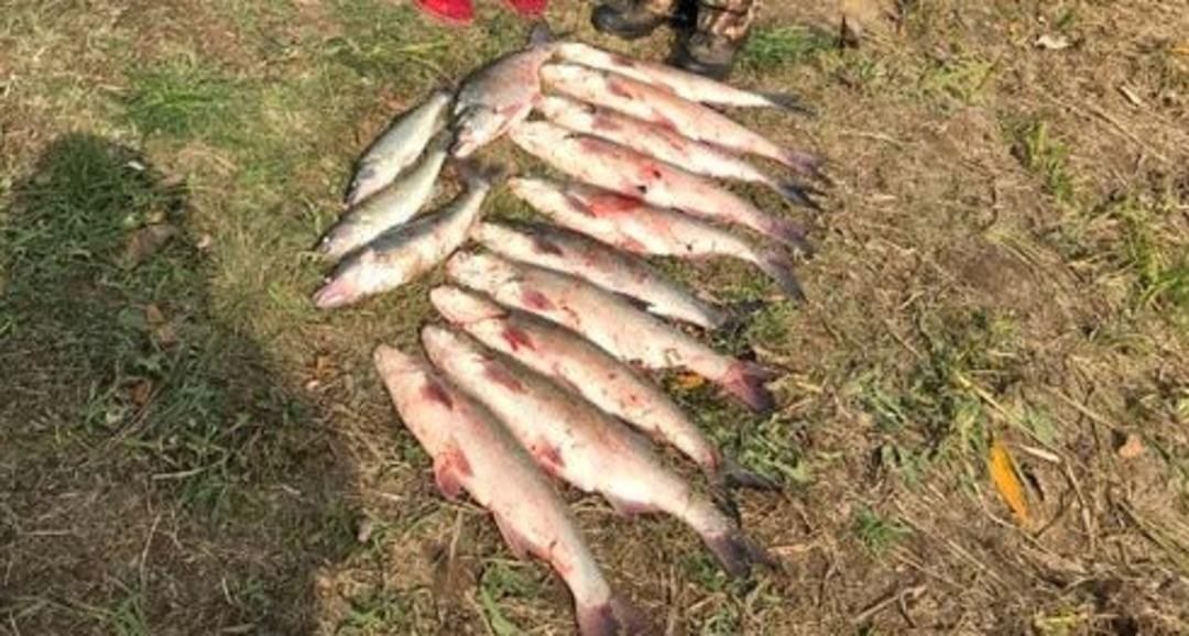 Рыбалка, Рыболовно-охотничий клуб Северный Каспий