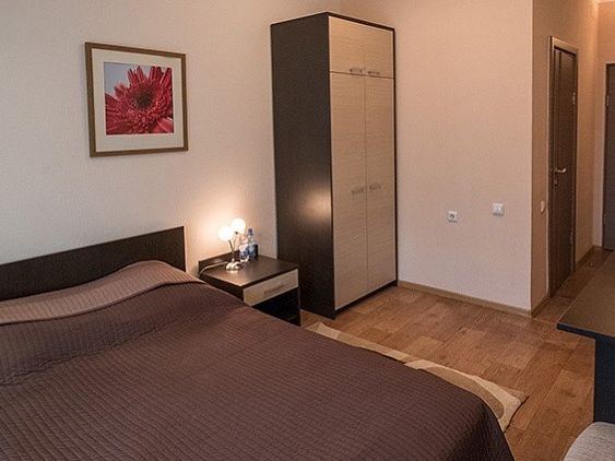 Двухместный (Стандарт, Double) оздоровительного комплекса Березовый уют, Калинкино