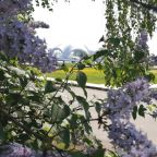 Своя ухоженная территория, Загородный клуб Адмирал Боровский