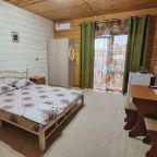 Трехместный (Двухспальная кровать 160х220, диван 120х200), Гостевой дом Мама джан