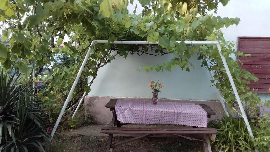 Двухместный (Бюджетный двухместный номер с 2 отдельными кроватями) гостевого дома Приморье, Архипо-Осиповка
