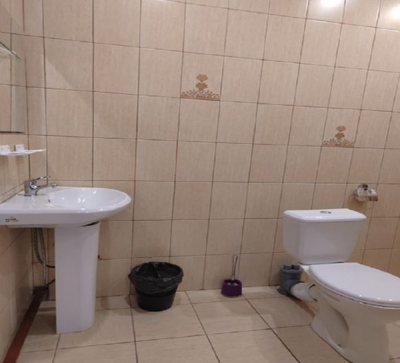 Фотография номера гостиницы Luxury