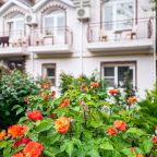 Вид на сад, Мини-отель Ольга