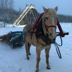 Двухместный (Двухместный номер с 1 кроватью и балконом (для 2 взрослых и 1 ребенка)), Гостевой дом Волжский фермер