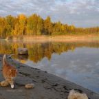 Номер (Дом с 4 спальнями), Дом для отпуска У дяди Вовы