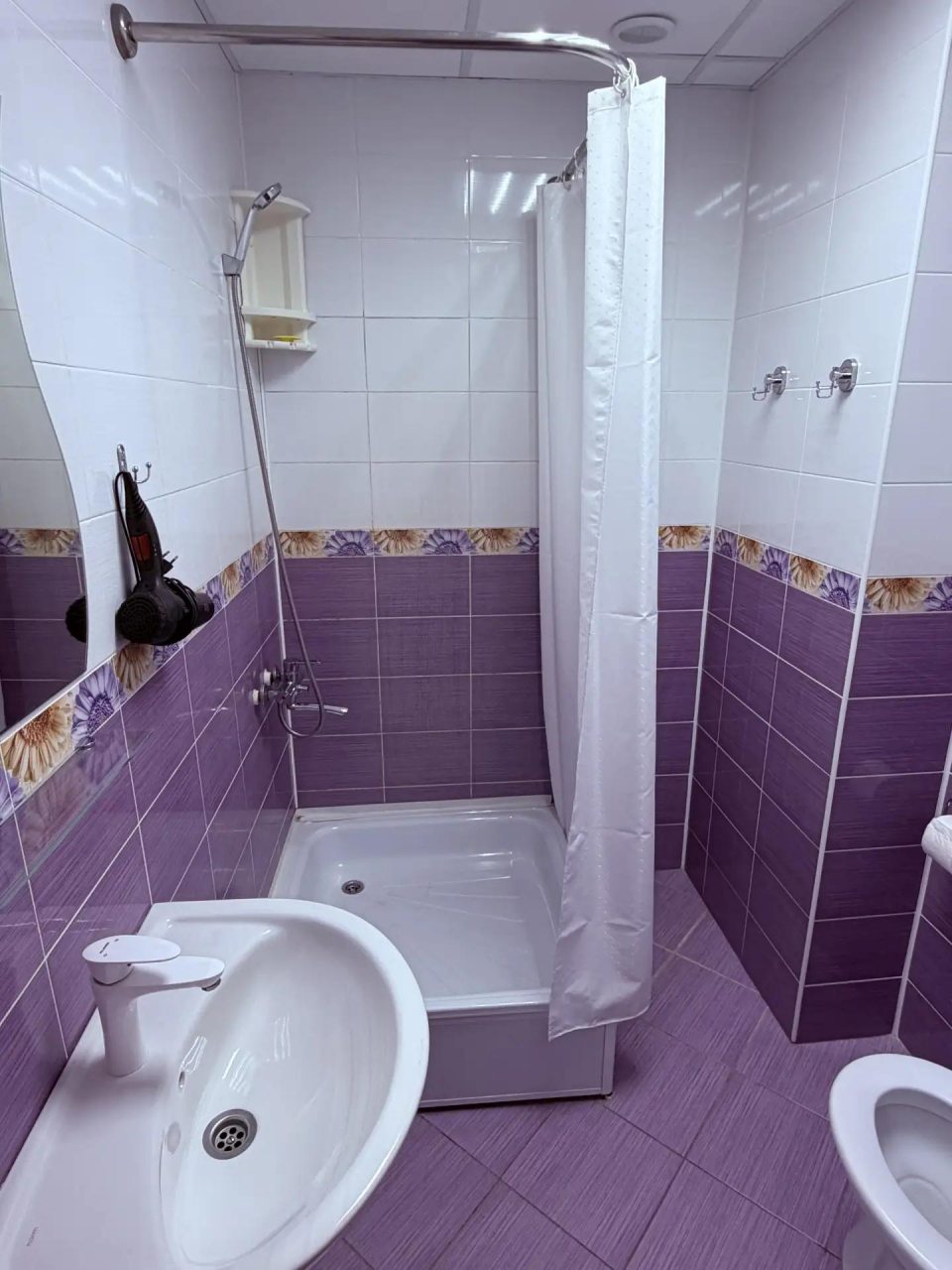 Двухместный (Номер с 1 кроватью), Гостиница Олимп
