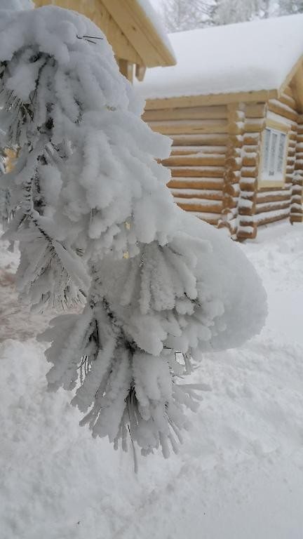 Номер (Дом с 1 спальней), Усадьба Добрыня