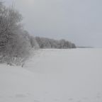 Номер (Дом с 2 спальнями), Гостевой дом Святозеро