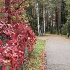 Пешие прогулки, Санаторий Ясные Зори