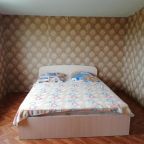 Двухместный (Бюджетный двухместный номер с 1 кроватью), Guest House Dudeevykh