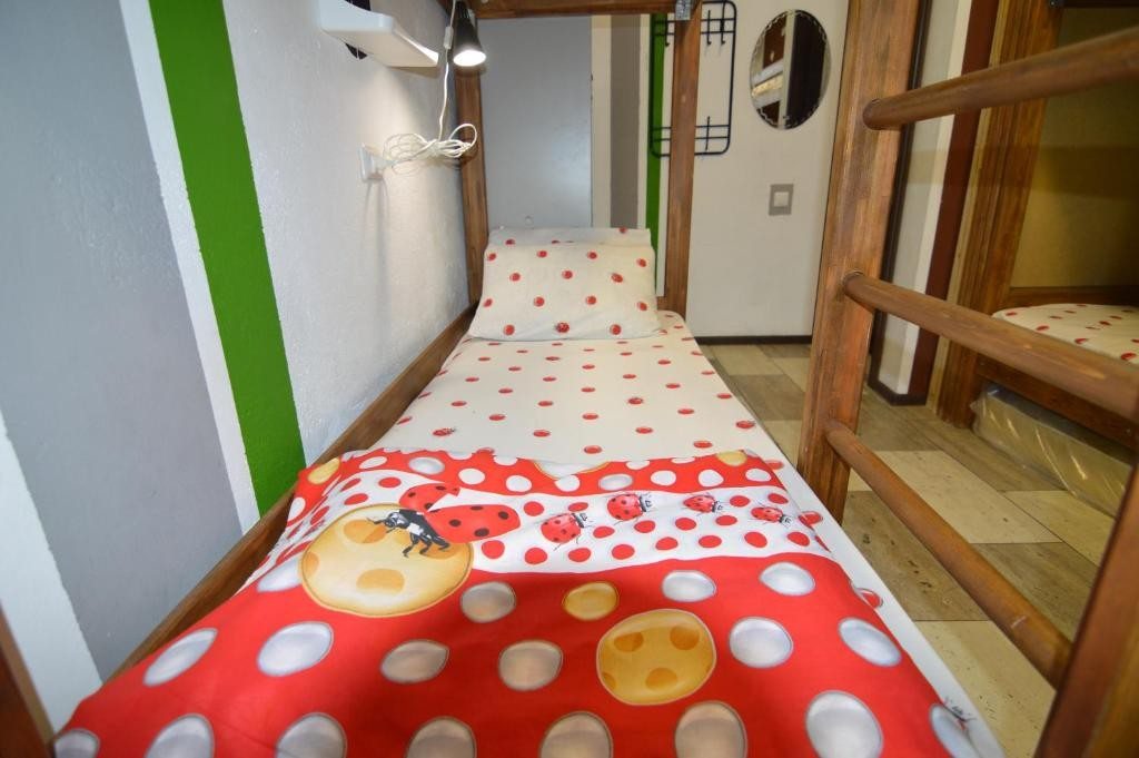 Двухместный (Большой двухместный номер c 1 кроватью или 2 отдельными кроватями) хостела Орешка, Комсомольск-на-Амуре