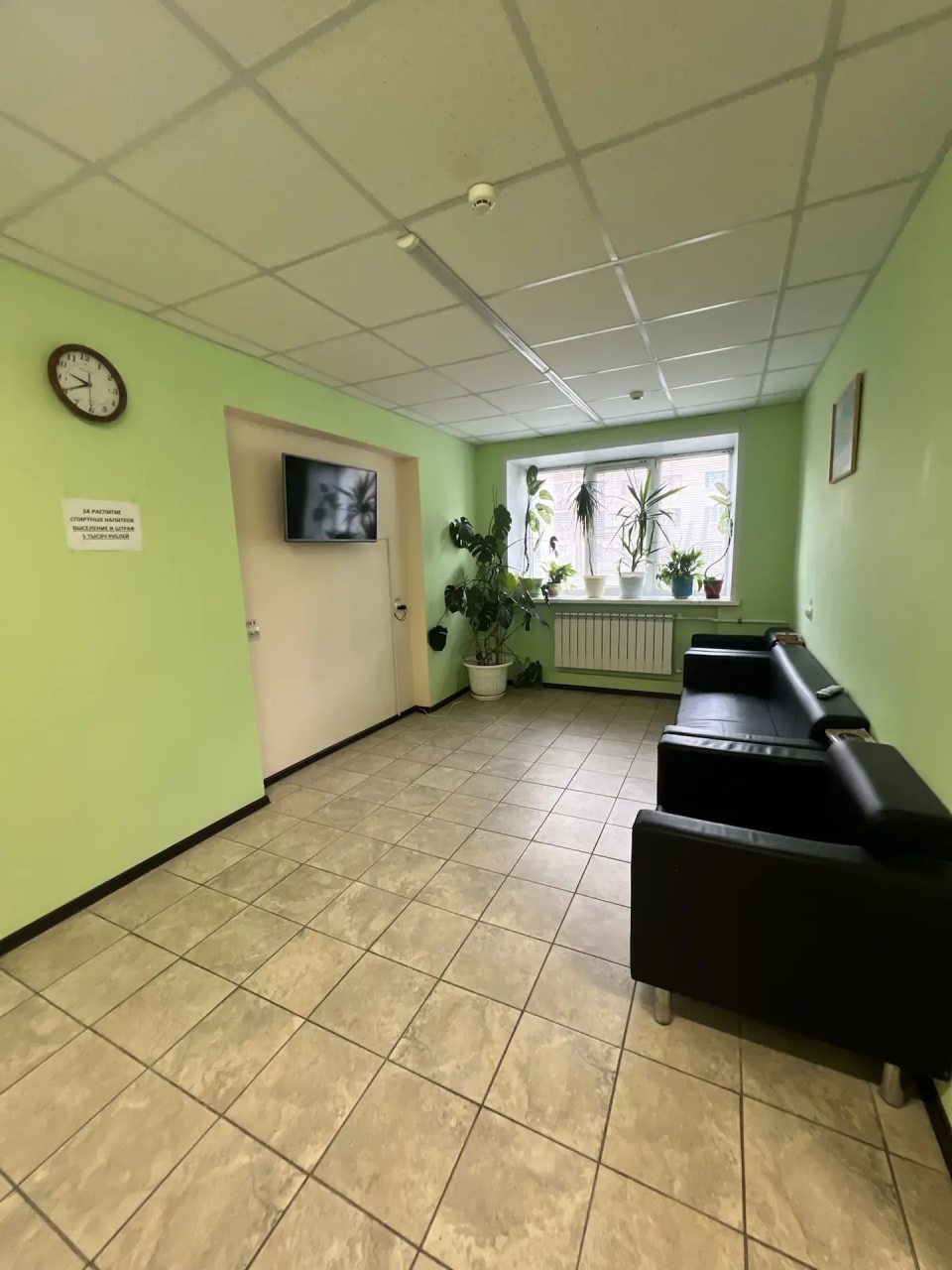 Одноместный (Номер), Хостел Молодежка