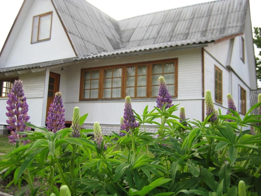 Дом для отдыха в поселке Слобода, Слобода (Тверская область)