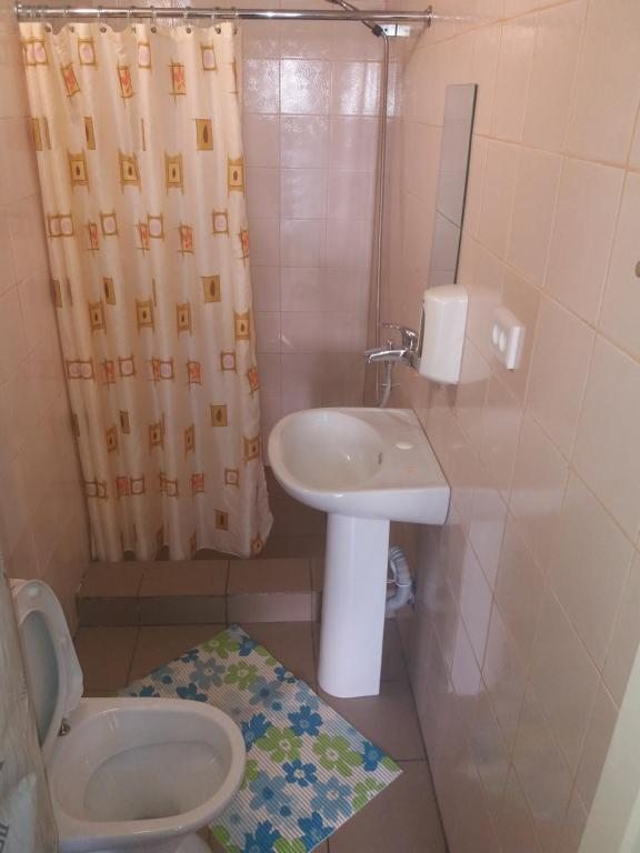 Трехместный (Трехместный номер с общей ванной комнатой) гостевого дома Вернисаж, Петрозаводск