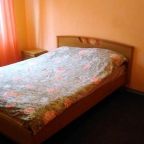 Двухместный (Двухместный номер с 1 кроватью и собственной ванной комнатой), Гостиница Лососинное
