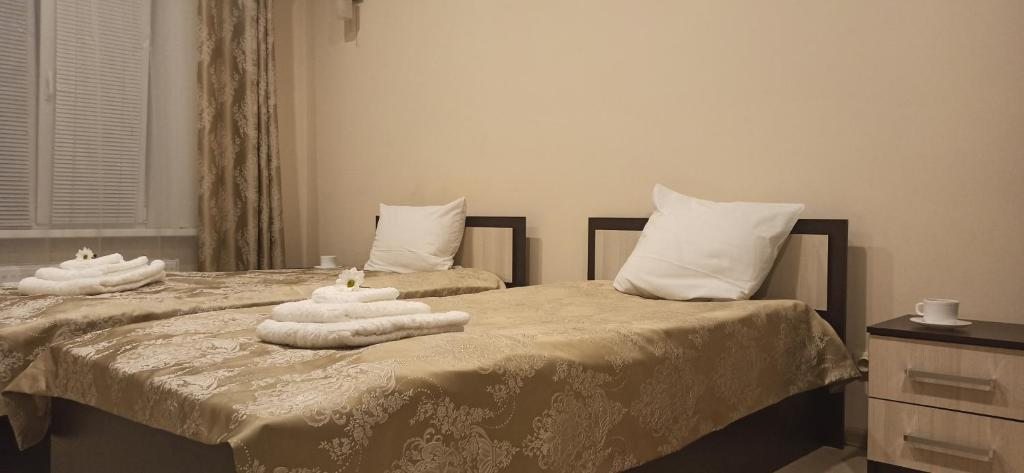 Двухместный (Улучшенный двухместный номер с 2 отдельными кроватями) спа-отеля Plaza, Мичуринск