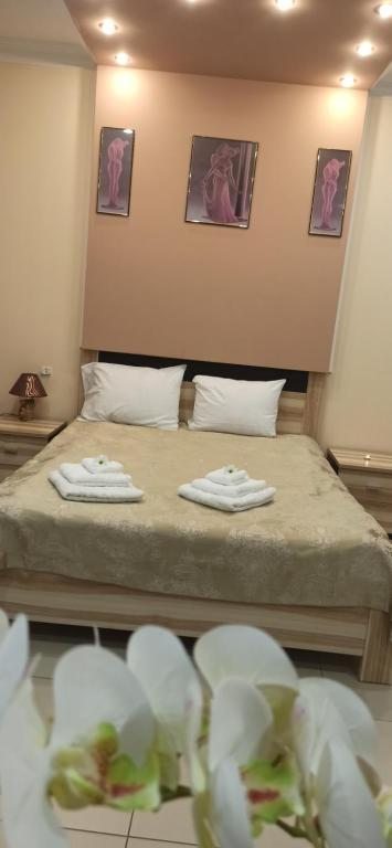 Двухместный (Улучшенный номер с кроватью размера «king-size») спа-отеля Plaza, Мичуринск