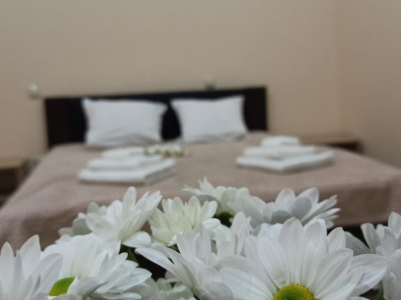 Фотография номера гостиницы Спа-отель Плаза