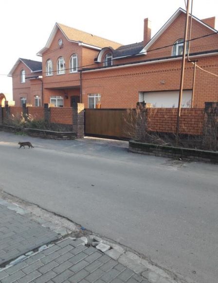 Гостиница Дом над рекой