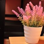 Двухместный (Без окна мужской), Хостел Вежливый Лось на Южнобутовской