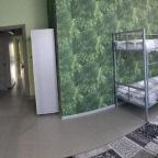 Номер (Кровать в общем 8-местном номере), Green Hostel