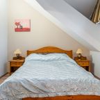 Двухместный (Стандартный номер с 1 кроватью), Гостевой дом Путь Лотоса