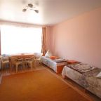 Номер (Таунхаус с 3 спальнями), Гостевой дом на Шевченко 246а