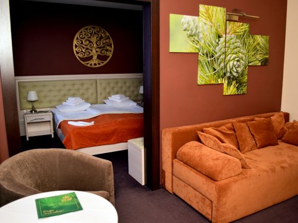 Фотография номера санатория Кедр