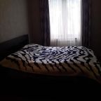 Двухместный (Двухместный номер с 2 отдельными кроватями и балконом), Guest House Firosmani