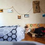 Номер (Односпальная кровать в общем номере), Dingo Backpackers Hostel