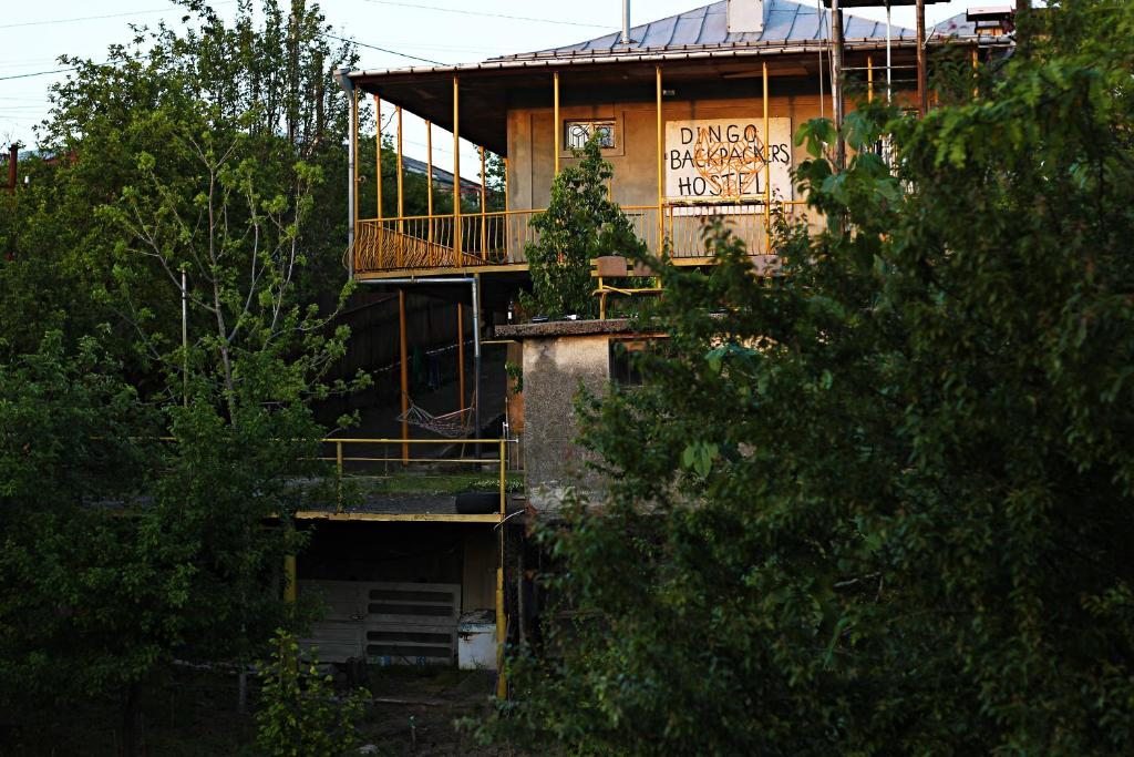Вилла (Улучшенная вилла) хостела Dingo Backpackers Hostel, Кутаиси