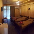 Трехместный (Трехместный номер), Hotel MICHEL