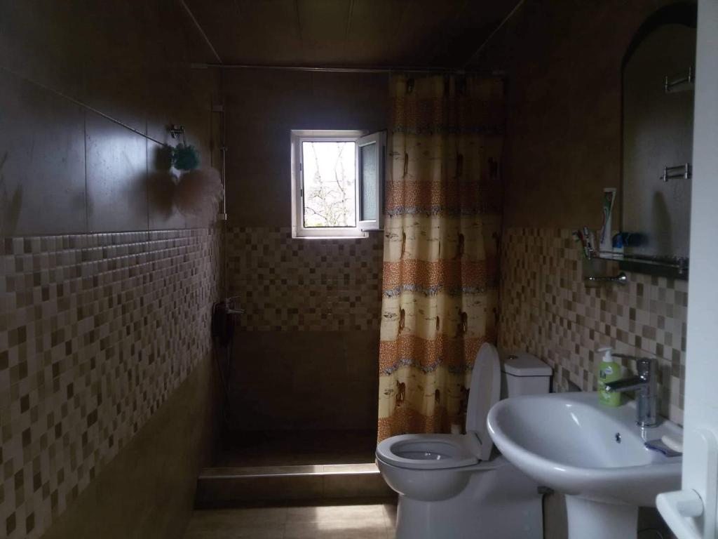 Двухместный (Двухместный номер с 1 кроватью) гостевого дома Sweet House Batumi, Махинджаури