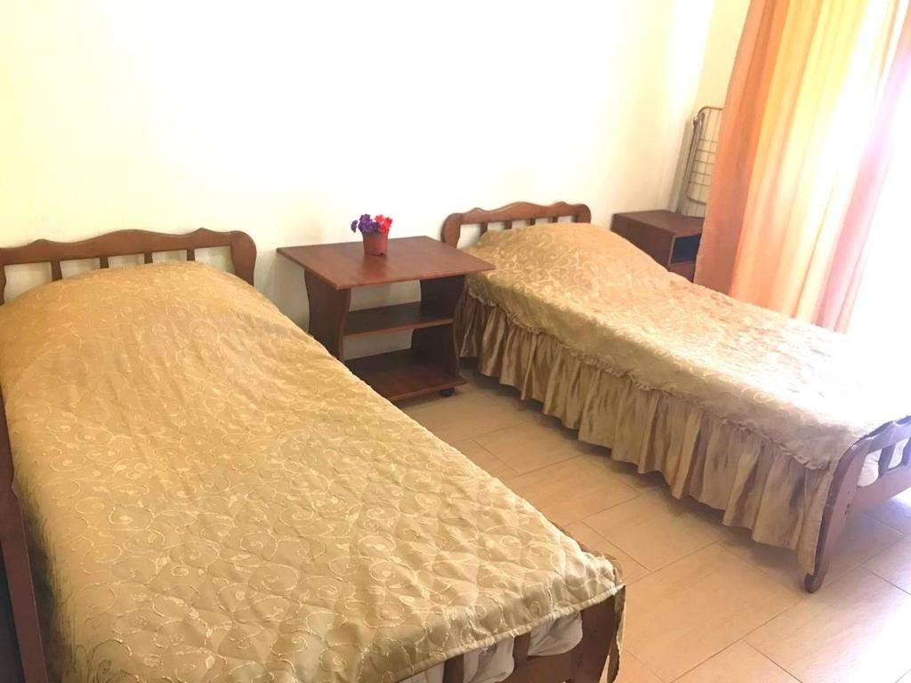 Двухместный (Двухместный номер с 2 отдельными кроватями) мини-гостиницы София, Лоо