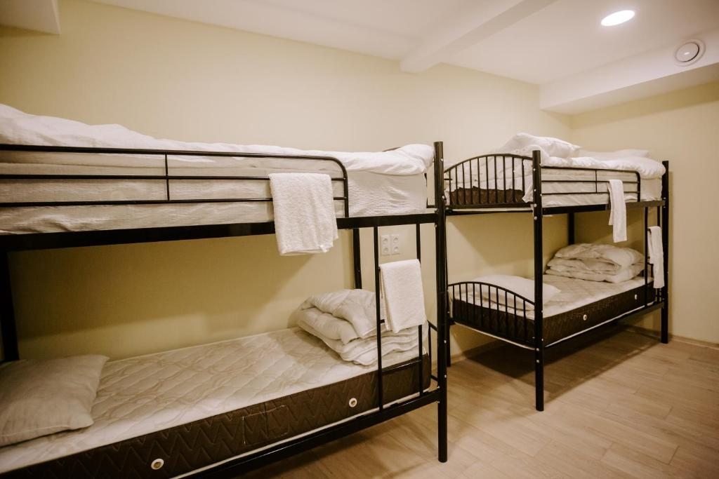 Номер (Кровать в общем номере для мужчин и женщин с 10 кроватями) хостела Tbilisi Viking Hostel, Тбилиси