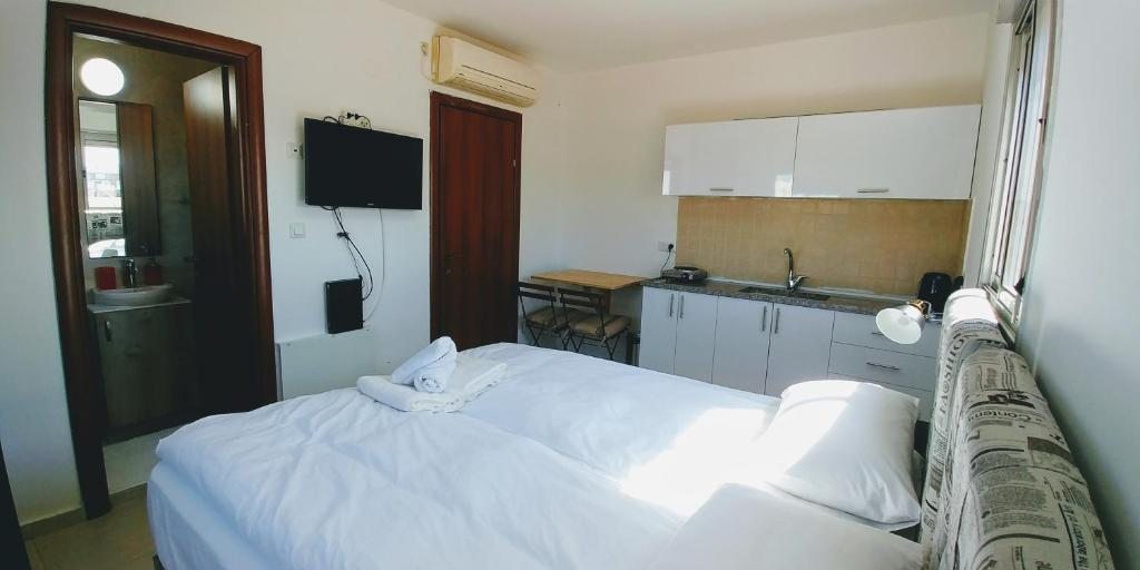 Двухместный (Двухместный номер с 1 кроватью и собственной ванной комнатой) хостела Old Jaffa's Penthouse, Тель-Авив