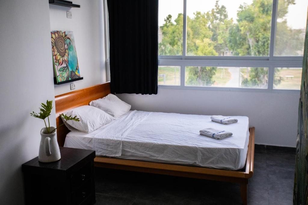 Двухместный (Бюджетный двухместный номер с 1 кроватью) хостела Overstay Jaffa Hostel (age 18 - 45), Тель-Авив