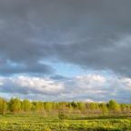 Коттедж (Секвоя Family), Загородный отель Pine River