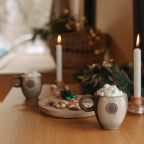 Дом (Студия Topol), Загородный отель Pine River