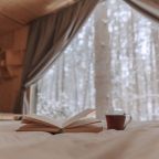 Капсула (Номер Forest Lodge), Загородный отель Pine River