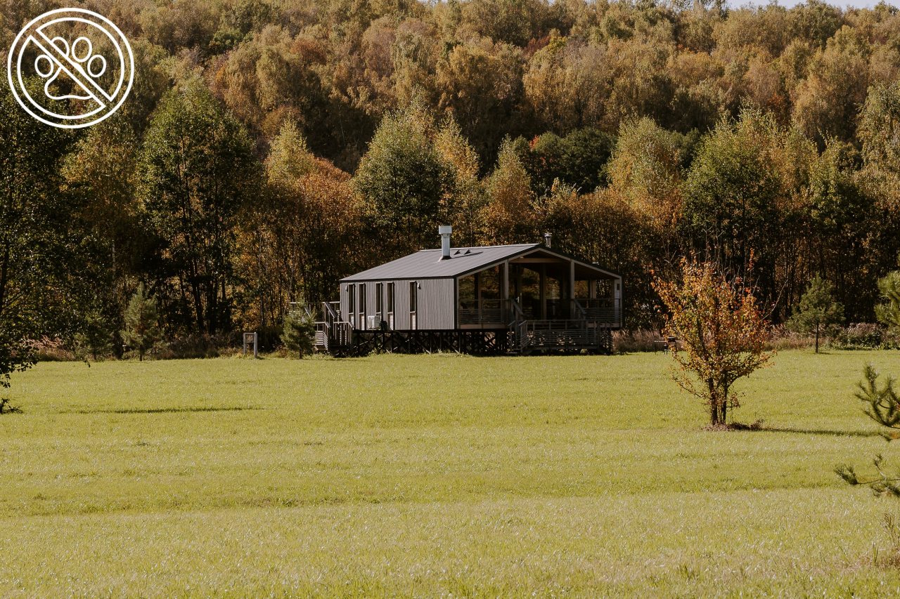 Коттедж (Райдер Хаус), Загородный отель Pine River