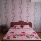 Двухместный (Двухместный номер с 1 кроватью), Guest House U Aminy