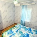 Двухместный (Двухместный номер с 1 кроватью), Guest House U Aminy